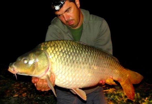 Hermes Peris 7 - 8 august 2014 - dsc04421.JPG